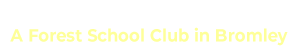 Forest Fun Club